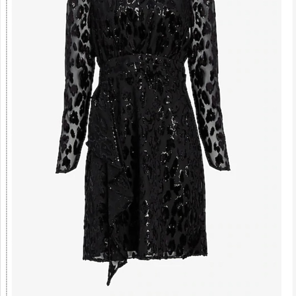 Velvet Burnout Ruffle Dress - Picture 3 of 7